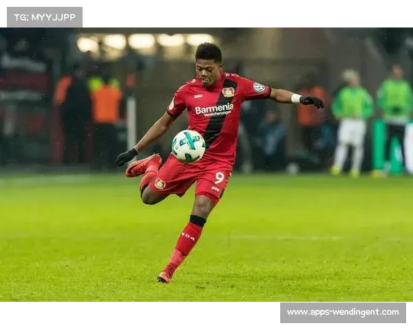 欧冠附加赛红星主场火力强劲 塞尔超霸主目标高效进攻取胜