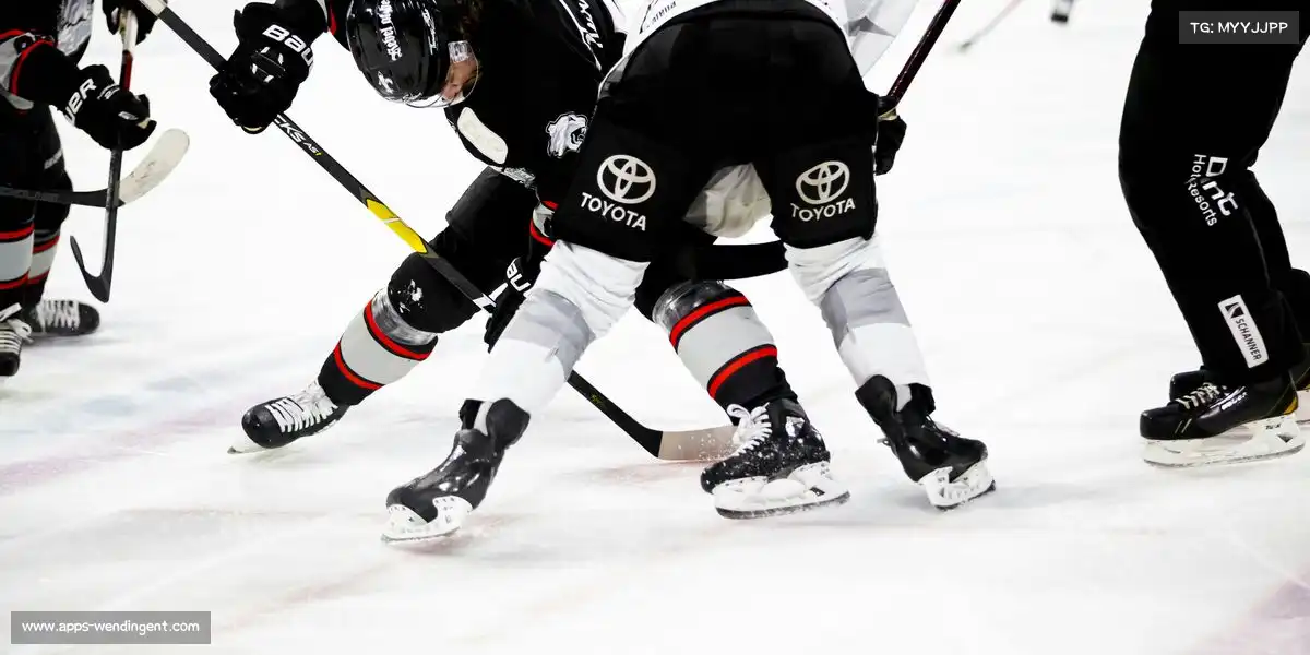 问鼎h5💬 定期反馈,及时调整成长方向!